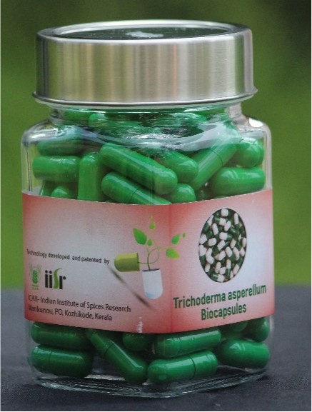 Biocapsules through microbial encapsulation technology