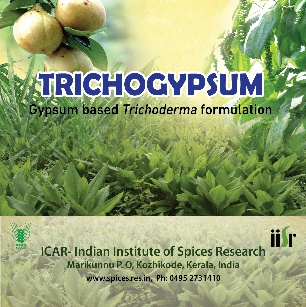 trichogypsum