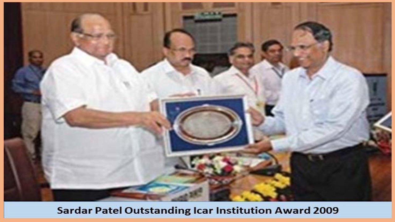 award-image
