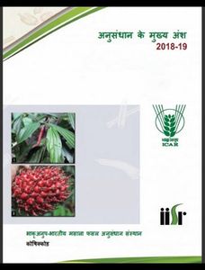 Research Highlights 2018-19